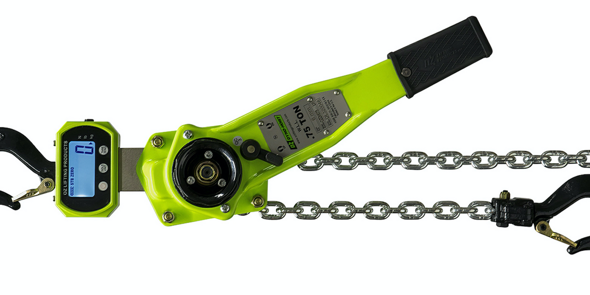 A Dynamometer in a Lever Hoist