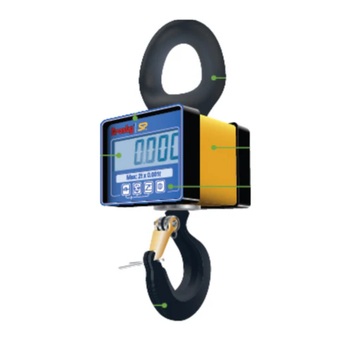 Crosby Straightpoint Mini Weigher Plus, 2200lb capacity, MWP1T